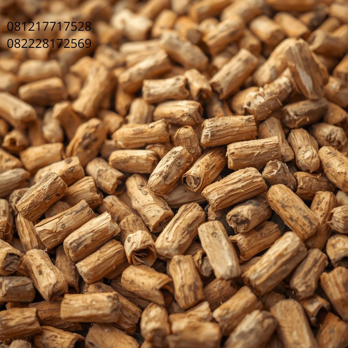 Bahan Bakar Biomassa