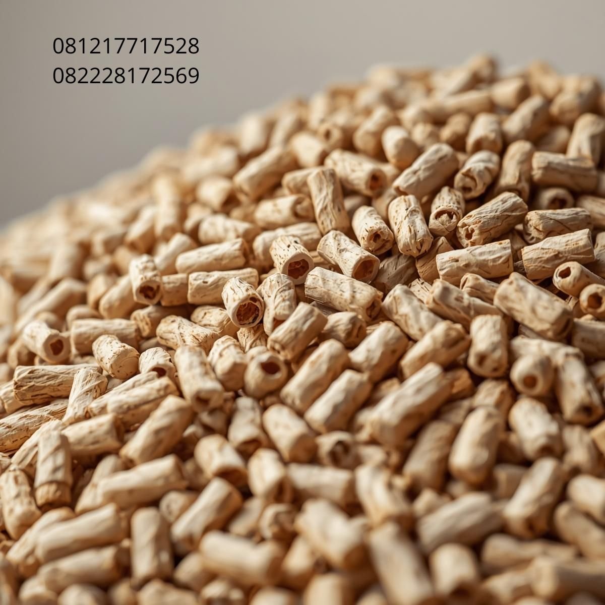 Biomass Supply Chain Asia