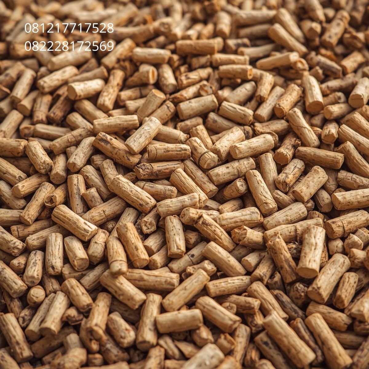 Biomass Energy for China